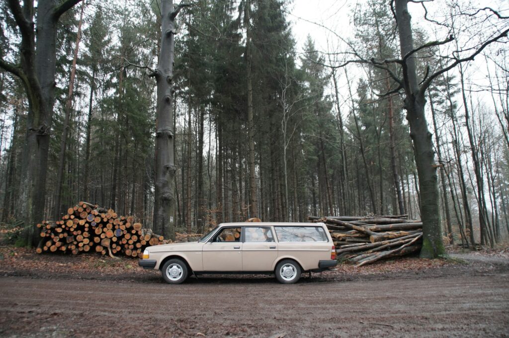 white Volvo station wagon parked in forest